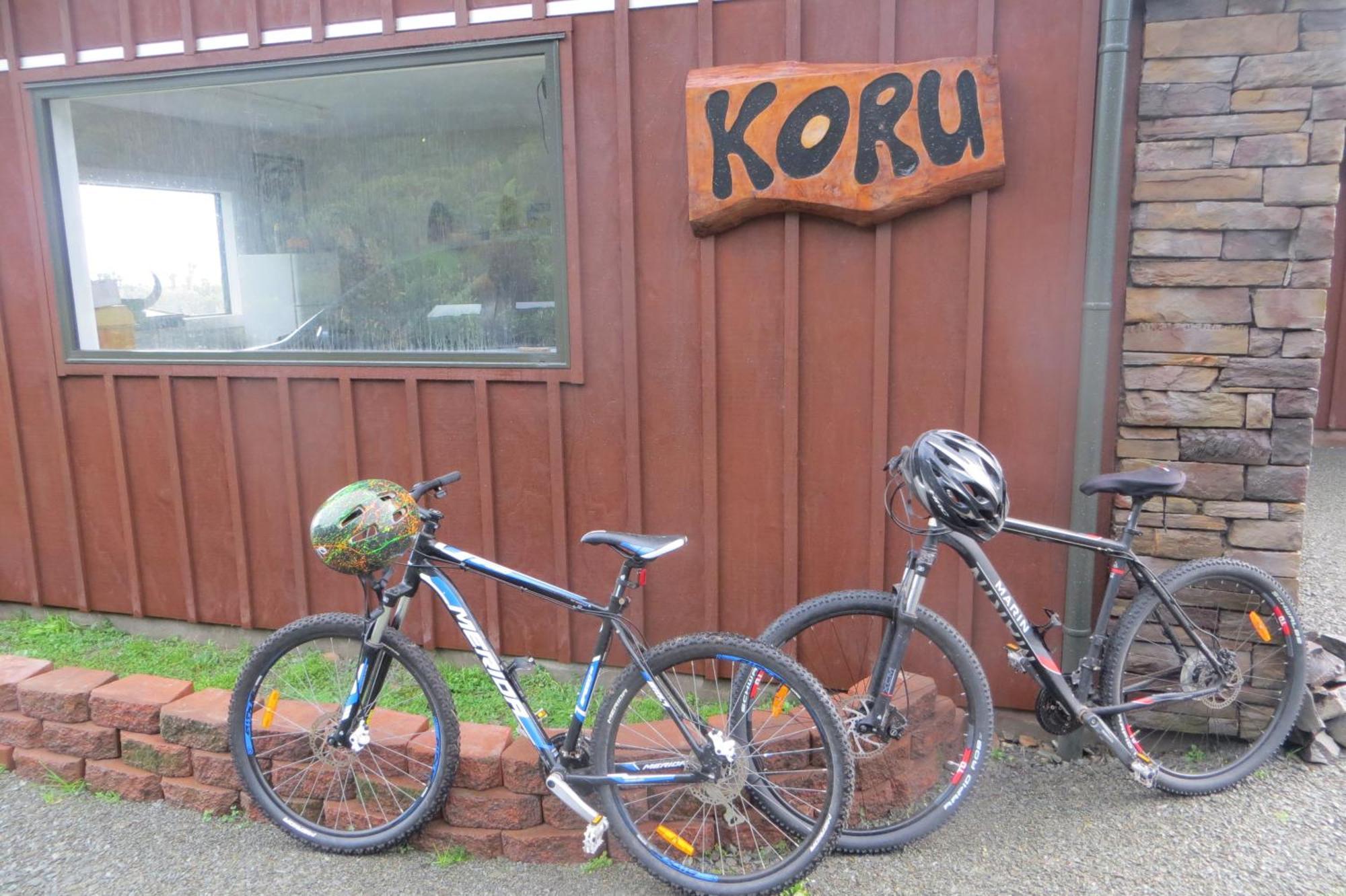 Koru Beachfront Holiday Cabins & Hot Tub Barrytown ภายนอก รูปภาพ